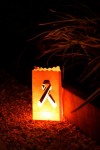Ribbon Bow Lantern Bag - White - Outdoor Garden Lighting - 10 Pack